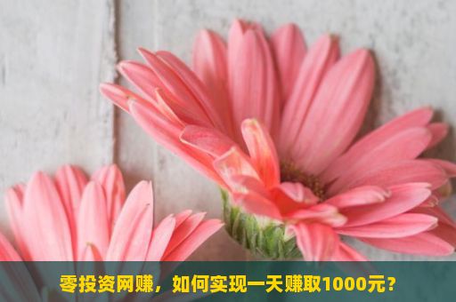 零投资网赚，如何实现一天赚取1000元？