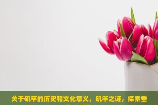 关于矶竿的历史和文化意义，矶竿之谜，探索垂钓的奥秘