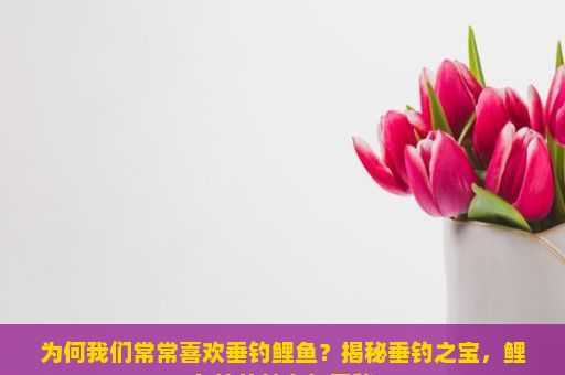 为何我们常常喜欢垂钓鲤鱼？揭秘垂钓之宝，鲤鱼竿的魅力与奥秘