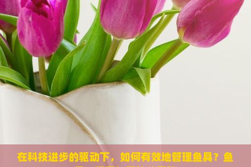 在科技进步的驱动下，如何有效地管理鱼具？鱼具，探索与垂钓的奥秘