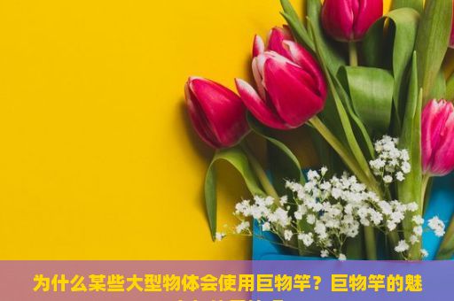 为什么某些大型物体会使用巨物竿？巨物竿的魅力与使用技巧