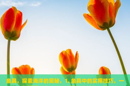 鱼具，探索海洋的奥秘，1. 鱼具中的实用技巧，一种更高效的方法来清理你的捕鱼工具