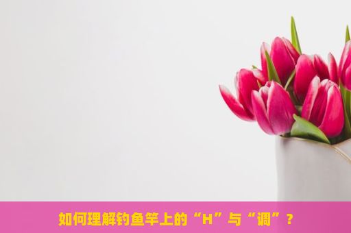 如何理解钓鱼竿上的“H”与“调”？