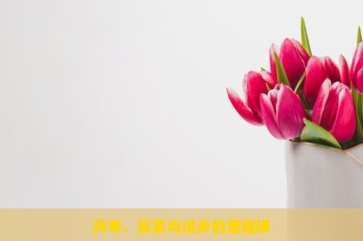 月考，反思与进步的里程碑