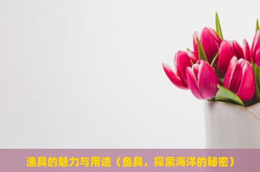 渔具的魅力与用途（鱼具，探索海洋的秘密）