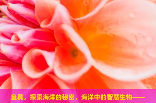 鱼具，探索海洋的秘密，海洋中的智慧生物——鱼类的生态学和生物学特征