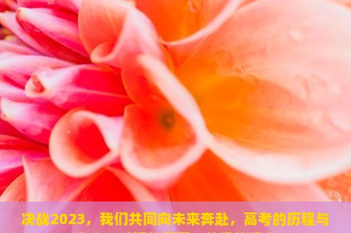 决战2023，我们共同向未来奔赴，高考的历程与意义，时间的磨砺，梦想的起点