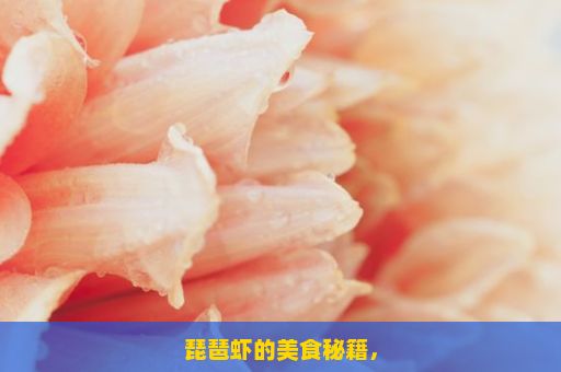 琵琶虾的美食秘籍，