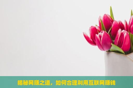 揭秘网赚之道，如何合理利用互联网赚钱