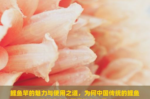 鲤鱼竿的魅力与使用之道，为何中国传统的鲤鱼竿并非鱼竿而是钓鱼工具？