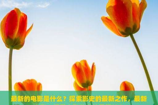 最新的电影是什么？探索影史的最新之作，最新电影，探索电影艺术的无限魅力