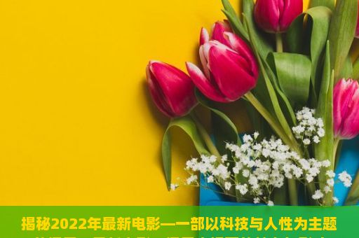 揭秘2022年最新电影—一部以科技与人性为主题的探索，最新电影，探索大银幕的魅力与影响