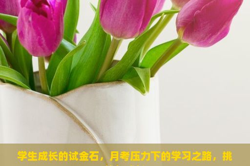 学生成长的试金石，月考压力下的学习之路，挑战与成长