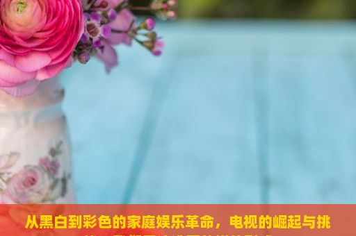 从黑白到彩色的家庭娱乐革命，电视的崛起与挑战，我们无法逃离的媒体形式