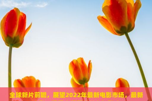 全球新片前瞻，展望2022年最新电影市场，最新电影，探索大银幕的魅力与影响