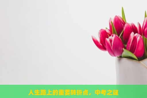 人生路上的重要转折点，中考之谜