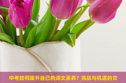 中考如何提升自己的语文素养？挑战与机遇的交汇点