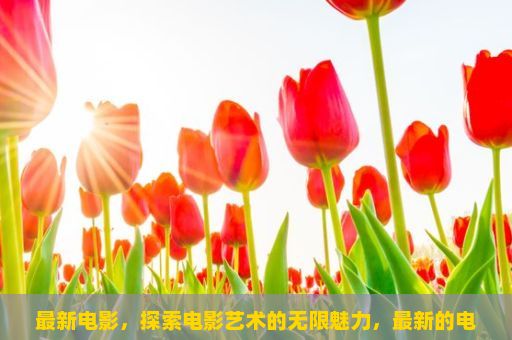 最新电影，探索电影艺术的无限魅力，最新的电影——无尽的幻想与现实