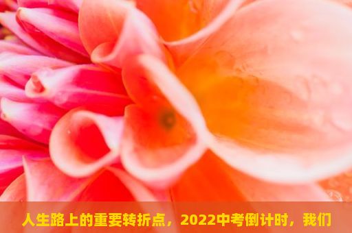 人生路上的重要转折点，2022中考倒计时，我们需要做好哪些准备？