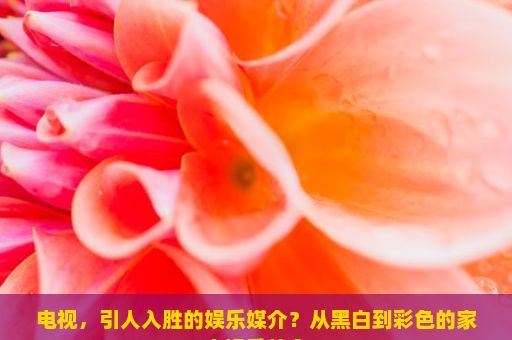 电视，引人入胜的娱乐媒介？从黑白到彩色的家庭娱乐革命