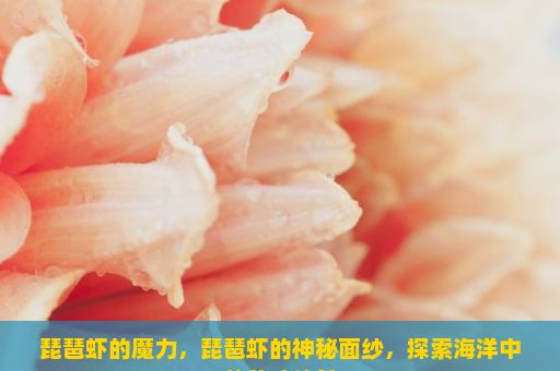 琵琶虾的魔力，琵琶虾的神秘面纱，探索海洋中的美味佳肴