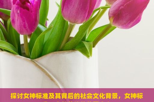 探讨女神标准及其背后的社会文化背景，女神标准，内外兼修的美丽定义