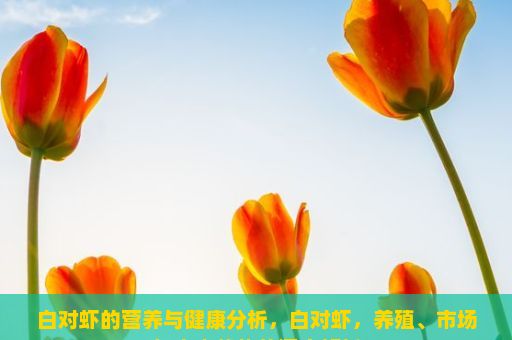 白对虾的营养与健康分析，白对虾，养殖、市场与未来趋势的深度解析