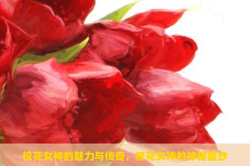 校花女神的魅力与传奇，校花女神的神秘面纱