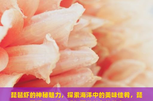 琵琶虾的神秘魅力，探索海洋中的美味佳肴，琵琶虾，一道口感与营养并存的美食