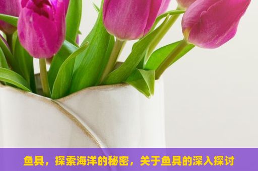 鱼具，探索海洋的秘密，关于鱼具的深入探讨