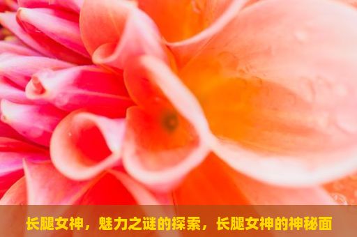 长腿女神，魅力之谜的探索，长腿女神的神秘面纱，魅力无限的魅力象征