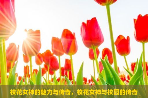 校花女神的魅力与传奇，校花女神与校园的传奇故事