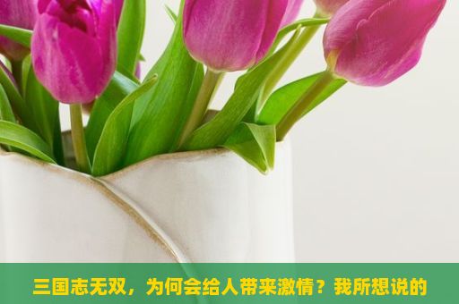 三国志无双，为何会给人带来激情？我所想说的是，要真正理解这款游戏的魅力，我们首先得了解它是什么。作为一款三国题材的大型多人在线动作策略游戏，一点三国可以让你犹如置身于三国之中一样，热血沸腾、紧张刺激。，一点三国，重温经典，再战三国