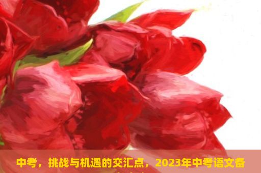 中考，挑战与机遇的交汇点，2023年中考语文备考攻略