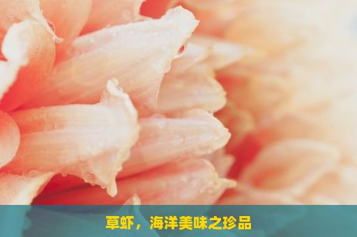 草虾，海洋美味之珍品