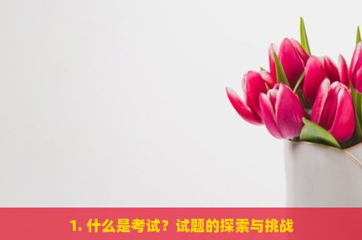 1. 什么是考试？试题的探索与挑战