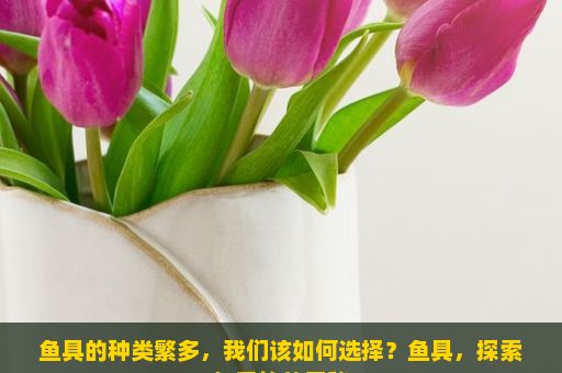 鱼具的种类繁多，我们该如何选择？鱼具，探索与垂钓的奥秘