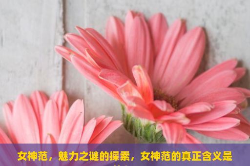 女神范，魅力之谜的探索，女神范的真正含义是什么？