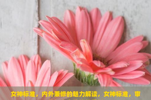 女神标准，内外兼修的魅力解读，女神标准，审美与人生价值的探析