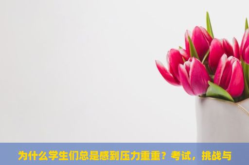 为什么学生们总是感到压力重重？考试，挑战与机遇的交织