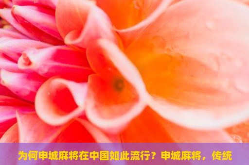 为何申城麻将在中国如此流行？申城麻将，传统与科技的完美融合