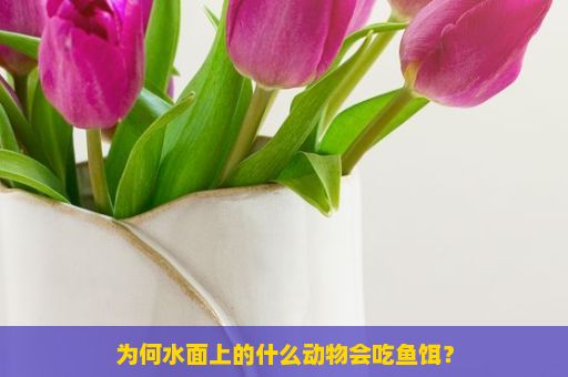 为何水面上的什么动物会吃鱼饵？