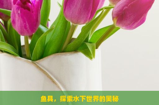 鱼具，探索水下世界的奥秘