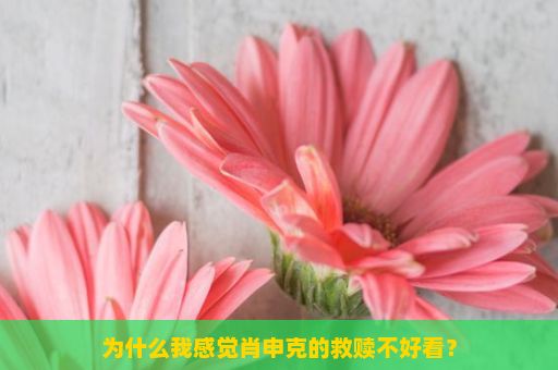 为什么我感觉肖申克的救赎不好看？