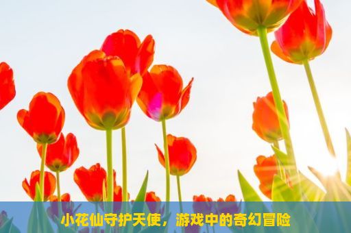 小花仙守护天使，游戏中的奇幻冒险