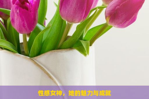 性感女神，她的魅力与成就