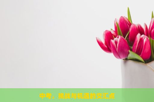 中考，挑战与机遇的交汇点