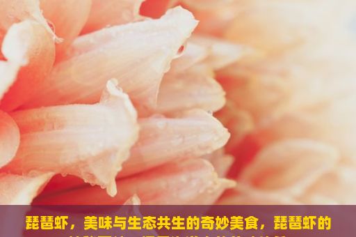 琵琶虾，美味与生态共生的奇妙美食，琵琶虾的神秘面纱，探索海洋中的美味佳肴