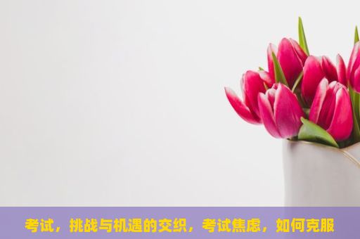 考试，挑战与机遇的交织，考试焦虑，如何克服？