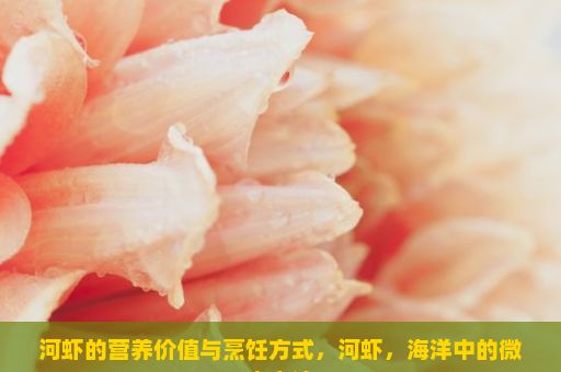 河虾的营养价值与烹饪方式，河虾，海洋中的微小奇迹
